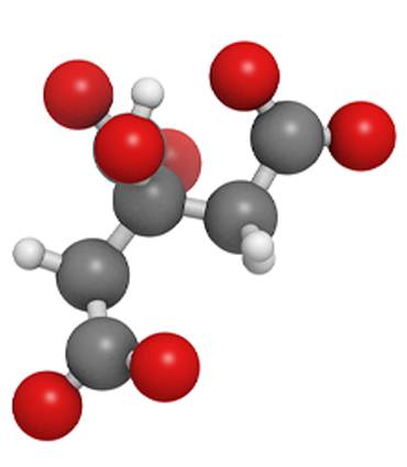 schéma Citrate