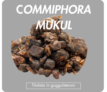 biodisponibilité optimale coenzymée picolinate