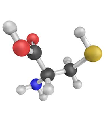 schéma Cystéine