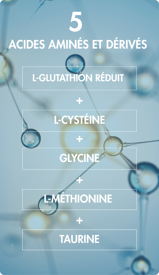 biodisponibilité optimale grâce à des acides aminés choisis dans leur forme la plus biodisponible