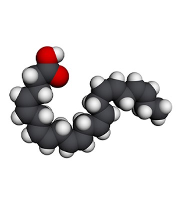 schéma acide docosahexaénoïque