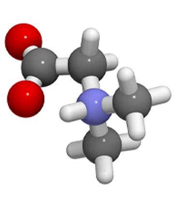 Schéma Diméthylglycine