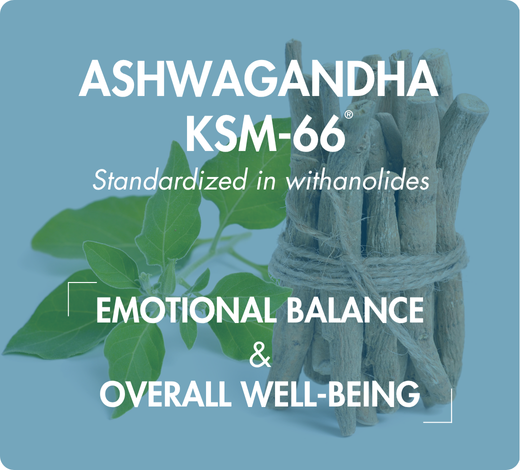 association synergique myo inositol d-chiro inositol