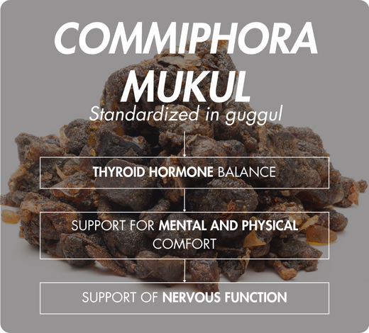 biodisponibilité optimale coenzymée picolinate