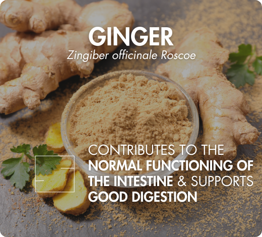 association synergique myo inositol d-chiro inositol