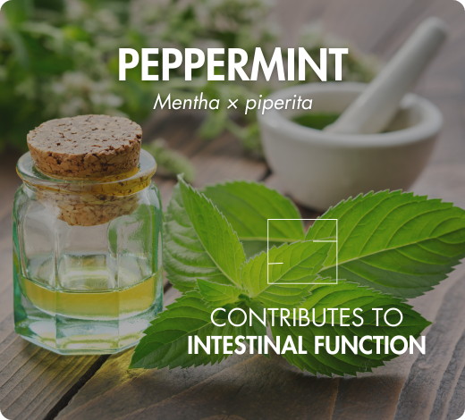 biodisponibilité optimale coenzymée picolinate