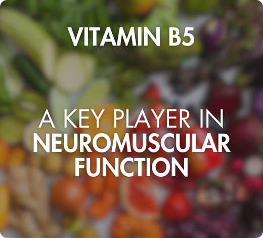 biodisponibilité optimale coenzymée picolinate