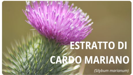 biodisponibilité optimale coenzymée picolinate