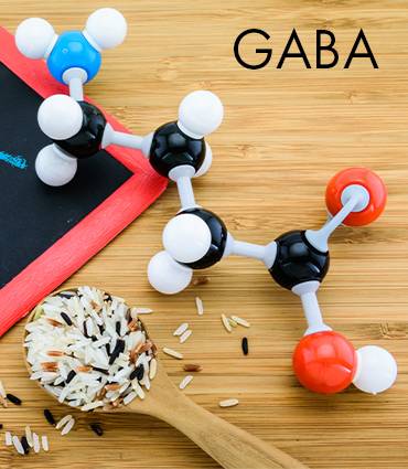 GABA (acide gamma-aminobutyrique)