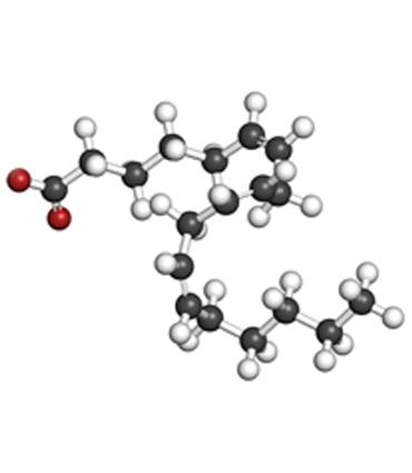 schéma Acide Gamma-Linoléique