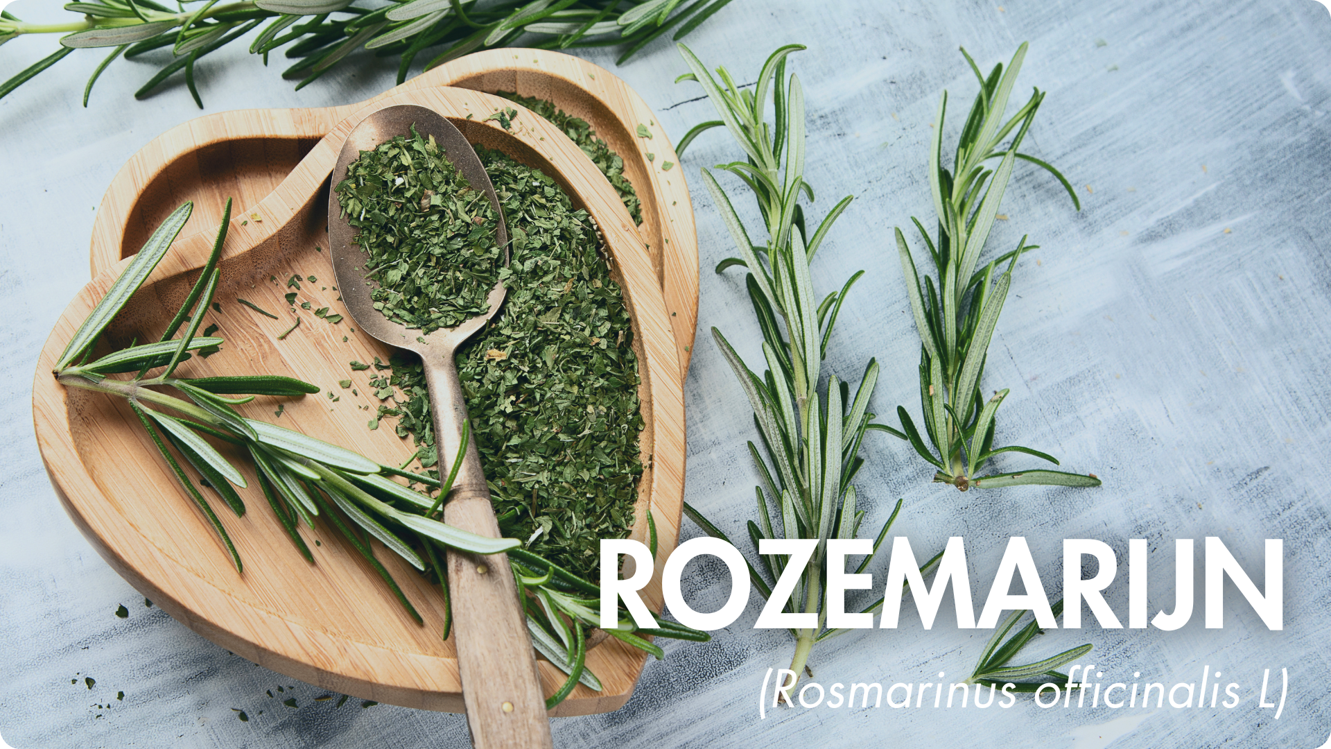 synergetische combinatie myo-inositol d-chiro-inositol