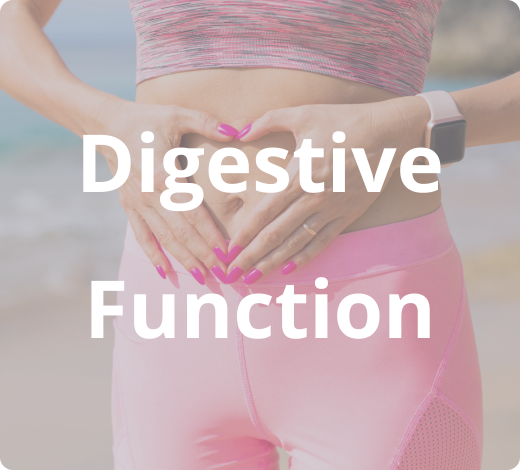 Herbal Medicine – Magnolia Standardized in Honokiol – Digestive Function 