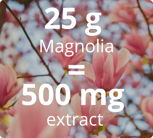 Hooggeconcentreerd gestandaardiseerd Magnolia-extract 50:1 – 500 mg, equivalent aan 25 g gedroogde plant