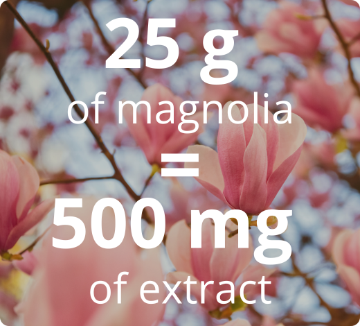 Highly Concentrated Standardized Magnolia Extract 50:1 – 500 mg Equivalent to 25 g of Dried Plant 
