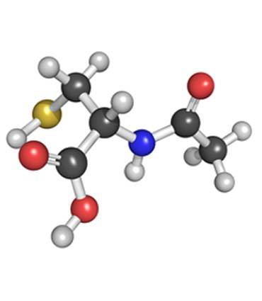 schéma N-acétylcystéine