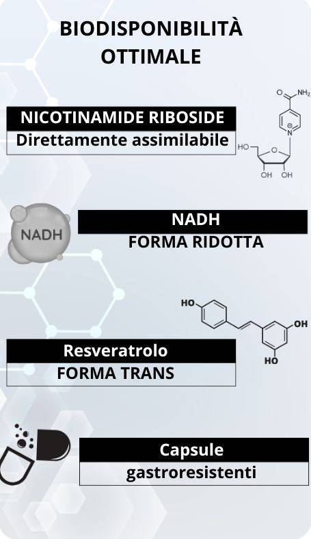 biodisponibilité optimale de notre formule pour une efficacité optimale