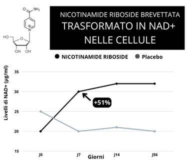 production naturelle d'énergie grâce au nicotinamide riboside breveté Niagen