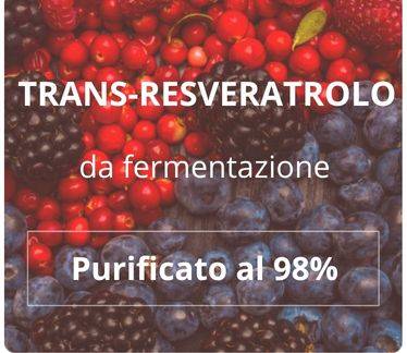 polyphénol naturel, trans-resvératrol d'origine naturelle, aux propriétés antioxydantes