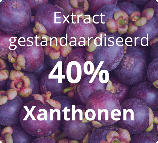 Extrait de Mangoustan titré à 40% en xanthones – haute teneur en principes actifs naturels 