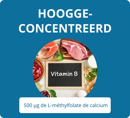complément alimentaire vitamine B9 hautement concentrée