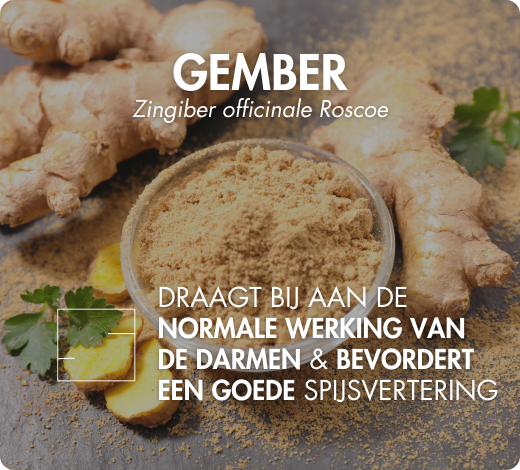 association synergique myo inositol d-chiro inositol