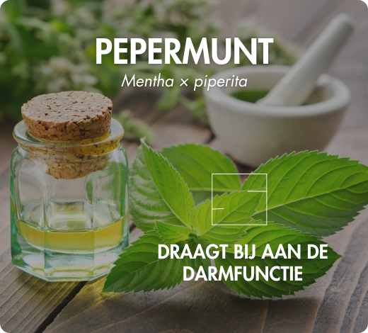 biodisponibilité optimale coenzymée picolinate