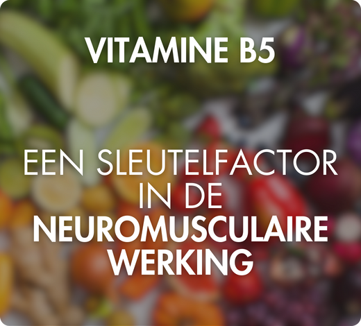 biodisponibilité optimale coenzymée picolinate