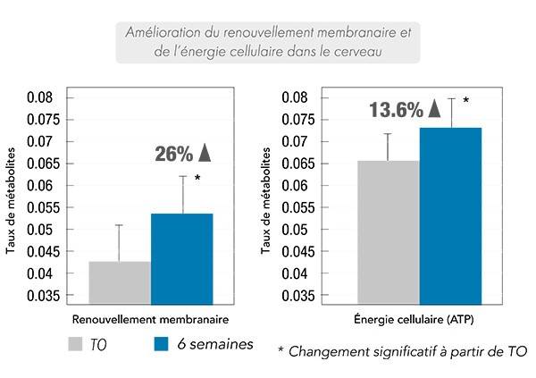 graph1