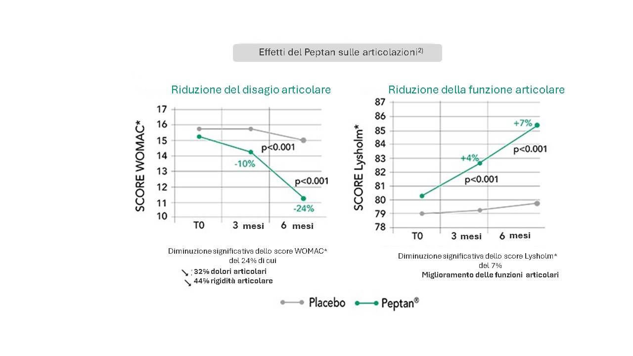Peptan e articolazione