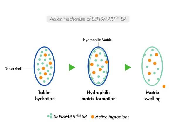 schema mécanisme d'action