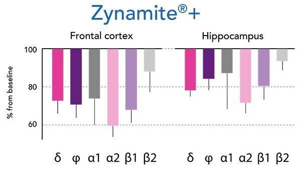 zynamite