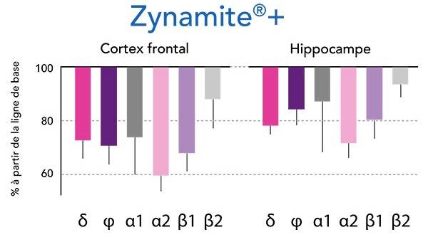 zynamite