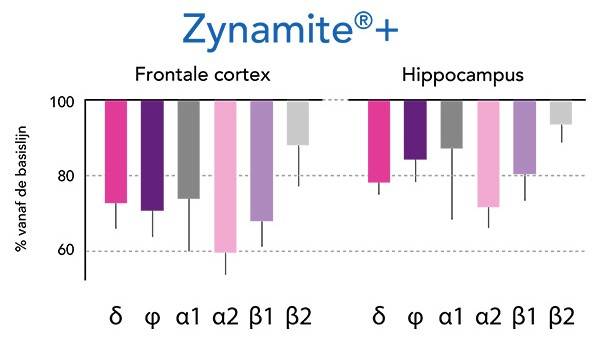 zynamite