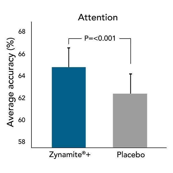 zynamite