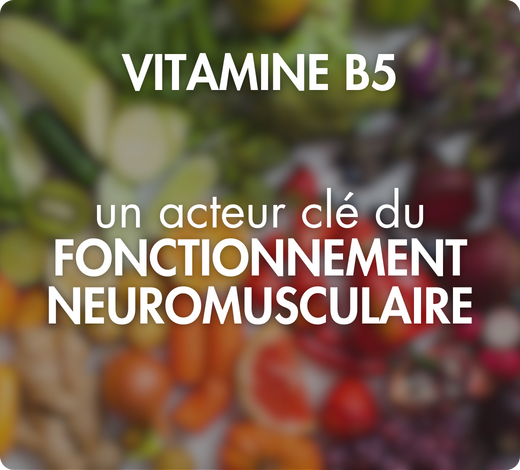 biodisponibilité optimale coenzymée picolinate