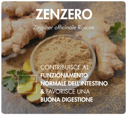 association synergique myo inositol d-chiro inositol