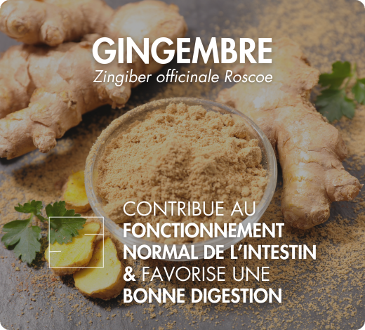 association synergique myo inositol d-chiro inositol