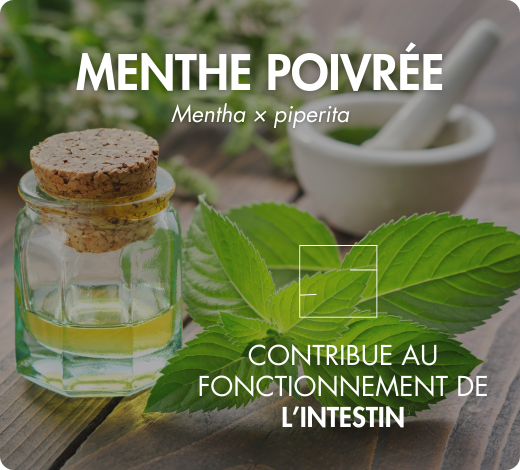 biodisponibilité optimale coenzymée picolinate