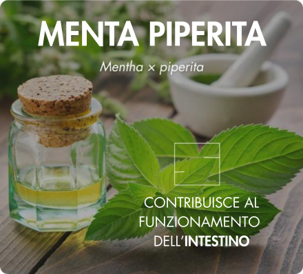 biodisponibilité optimale coenzymée picolinate