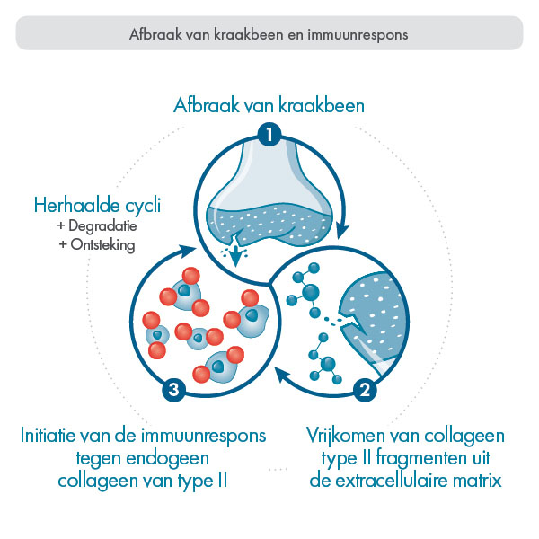 Verslaafde Menselijk ras vacuüm Collavant®n2-nl - Therascience
