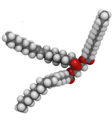 schéma Triglycérides à chaîne moyenne