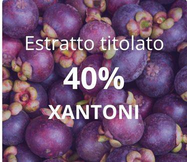 Extrait de Mangoustan titré à 40% en xanthones – haute teneur en principes actifs naturels 