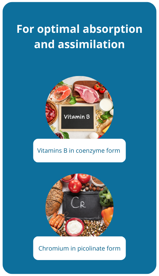 biodisponibilité optimale coenzymée picolinate
