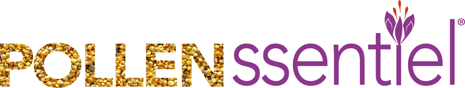 logo igyssentiel