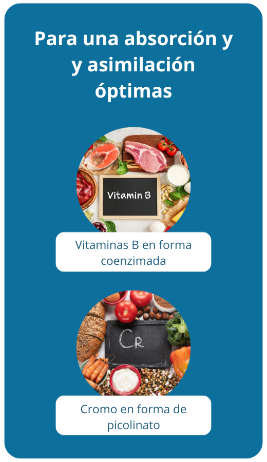 biodisponibilité optimale coenzymée picolinate