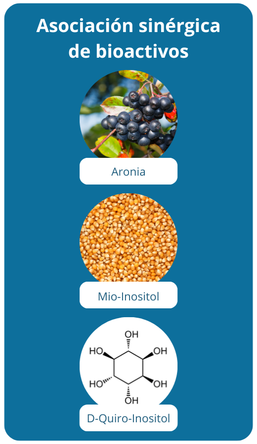 association synergique myo inositol d-chiro inositol